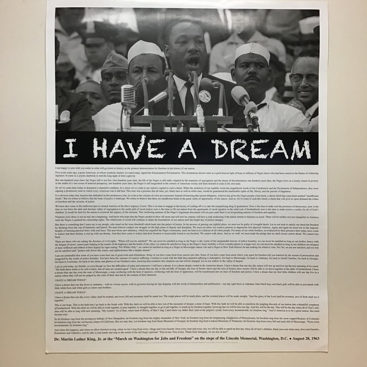Dream Speech Poster