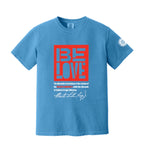 Be Love Aftermath of Nonviolence T-shirt