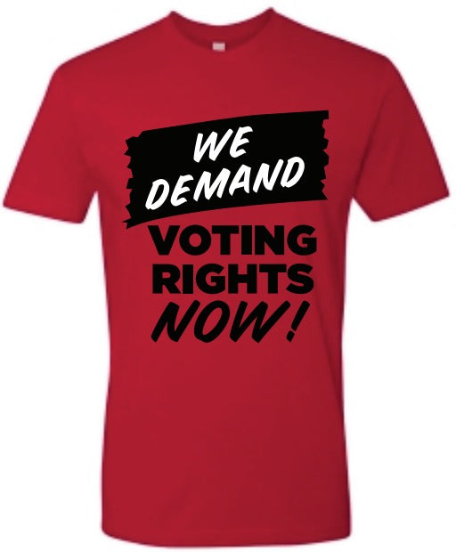 Voting Rights T-Shirt